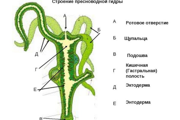 Кракен лучший маркетплейс