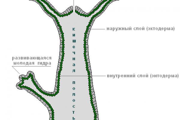 Кракен сайт 2krnk cc