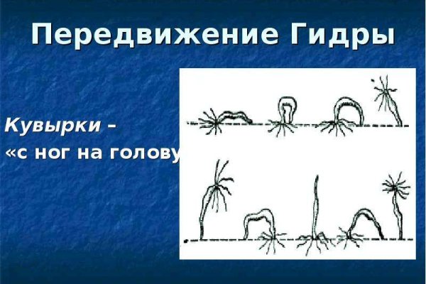 Не могу зайти на кракен